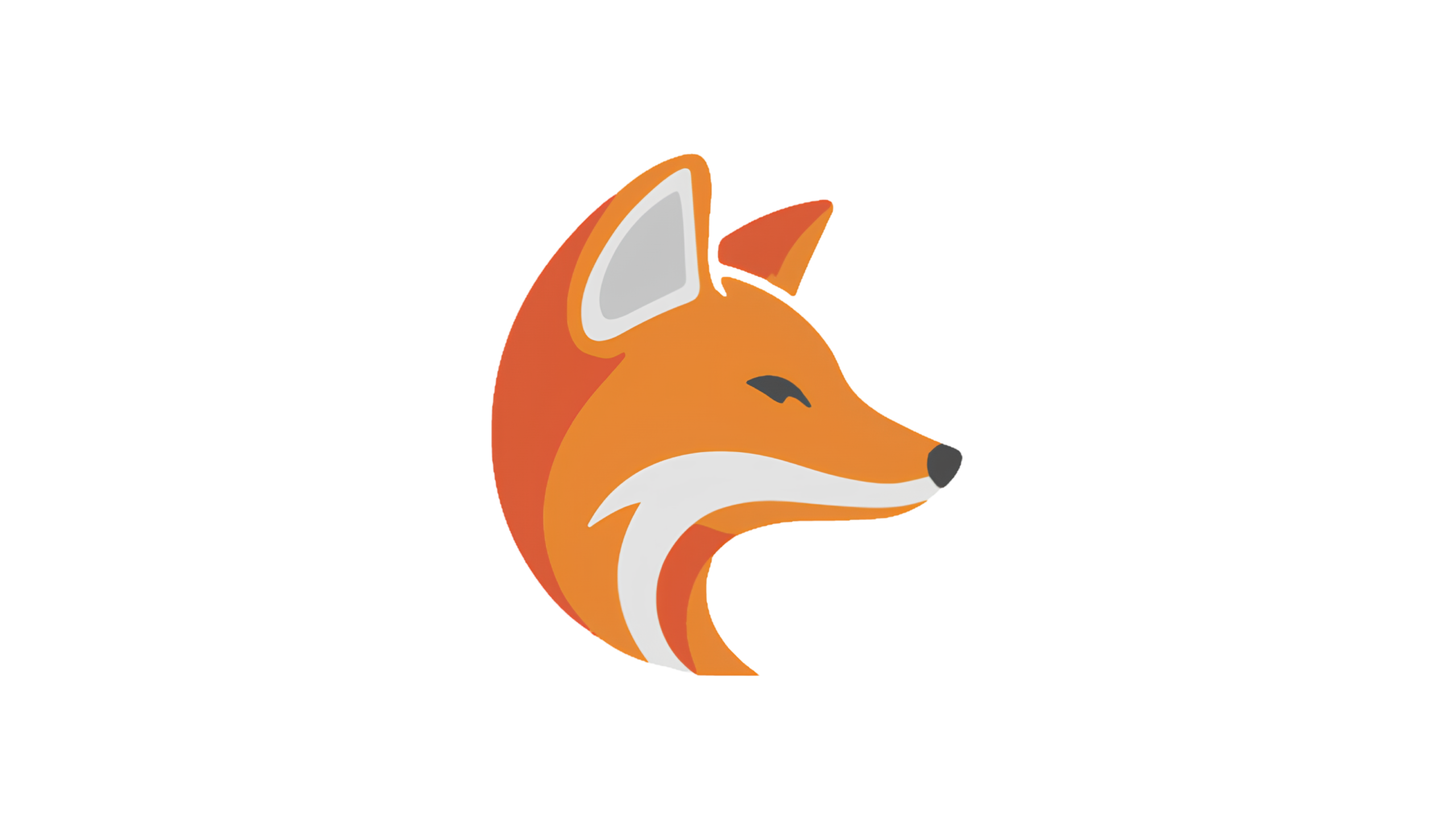 Foxy Store DZ